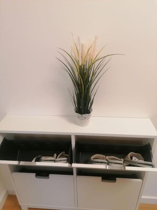 Apartment Green Lux Belgrado Exterior foto
